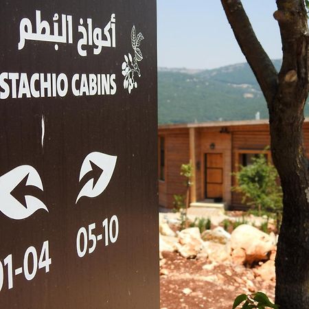Ajloun Forest Reserve Jarash Exteriör bild