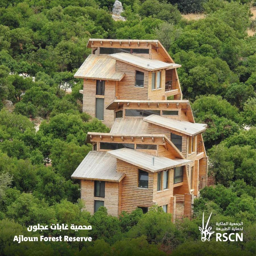 Ajloun Forest Reserve Jarash Exteriör bild