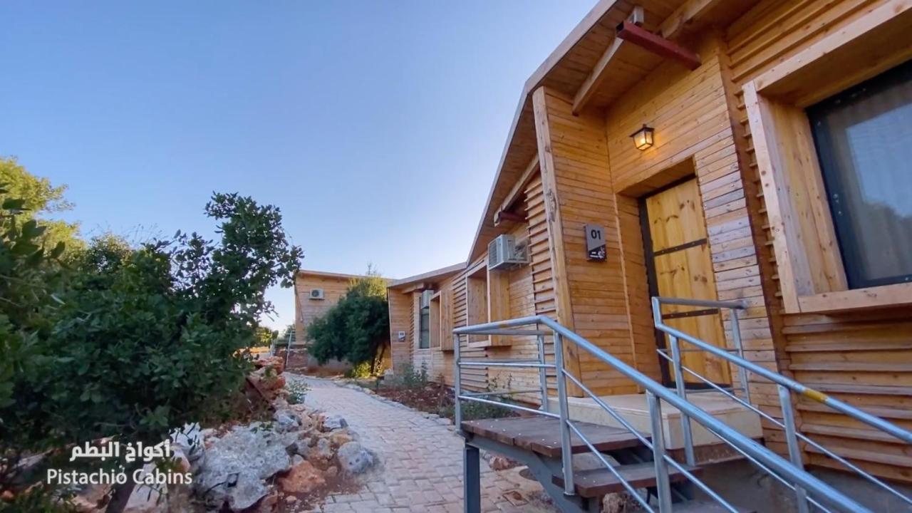 Ajloun Forest Reserve Jarash Exteriör bild