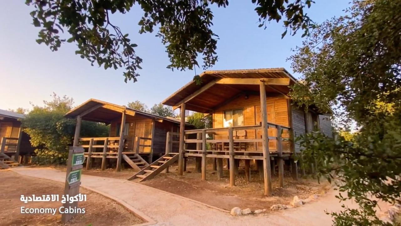 Ajloun Forest Reserve Jarash Exteriör bild