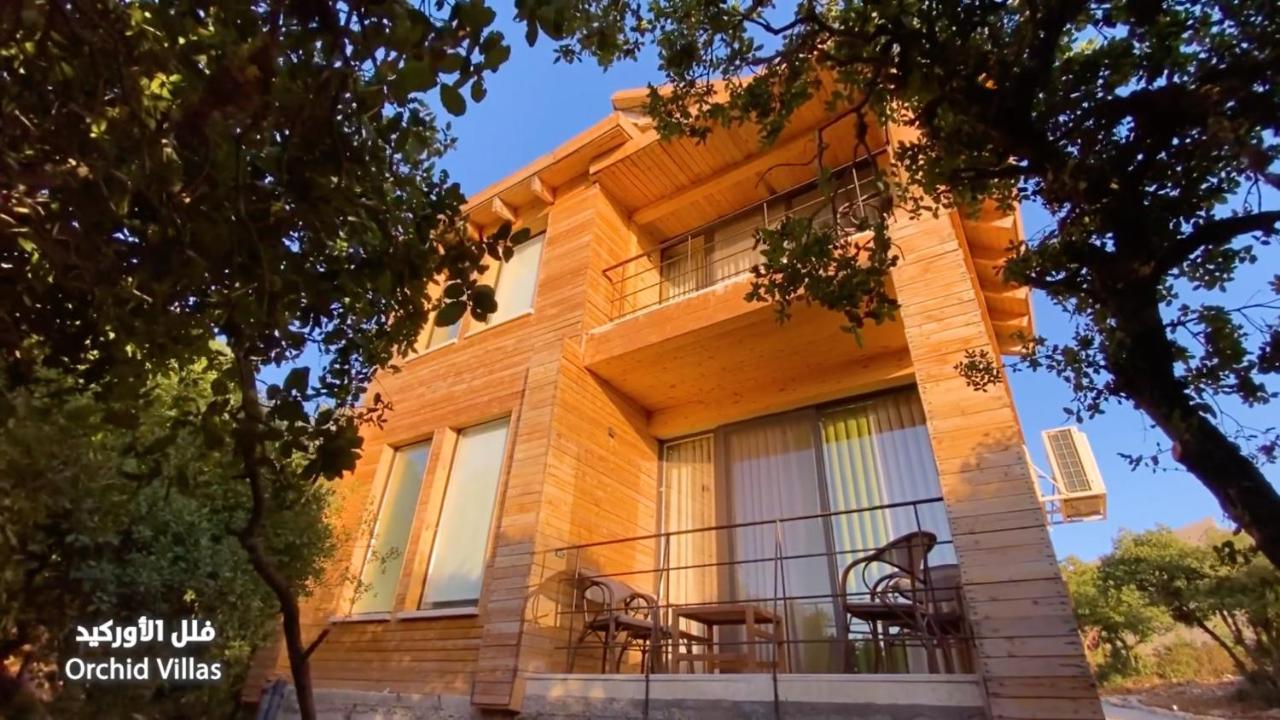 Ajloun Forest Reserve Jarash Exteriör bild