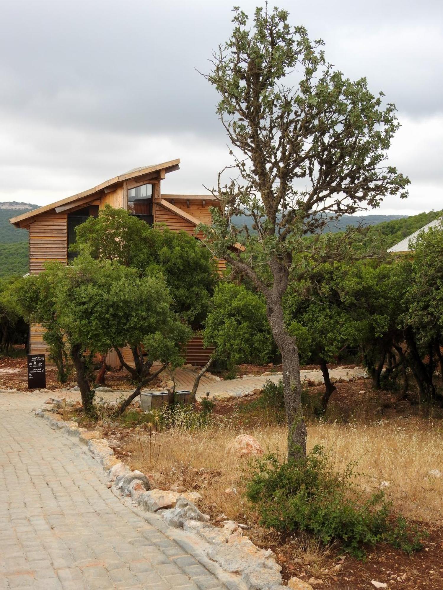 Ajloun Forest Reserve Jarash Exteriör bild