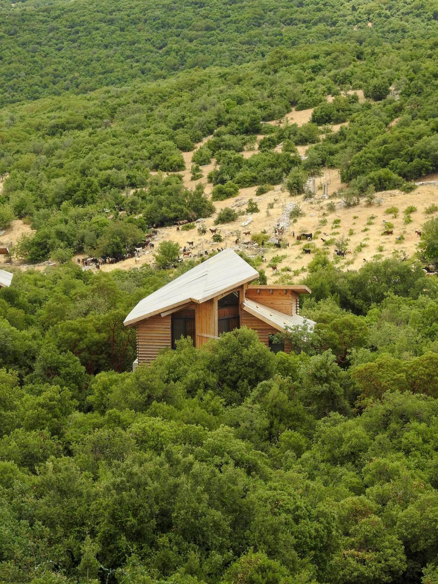 Ajloun Forest Reserve Jarash Exteriör bild