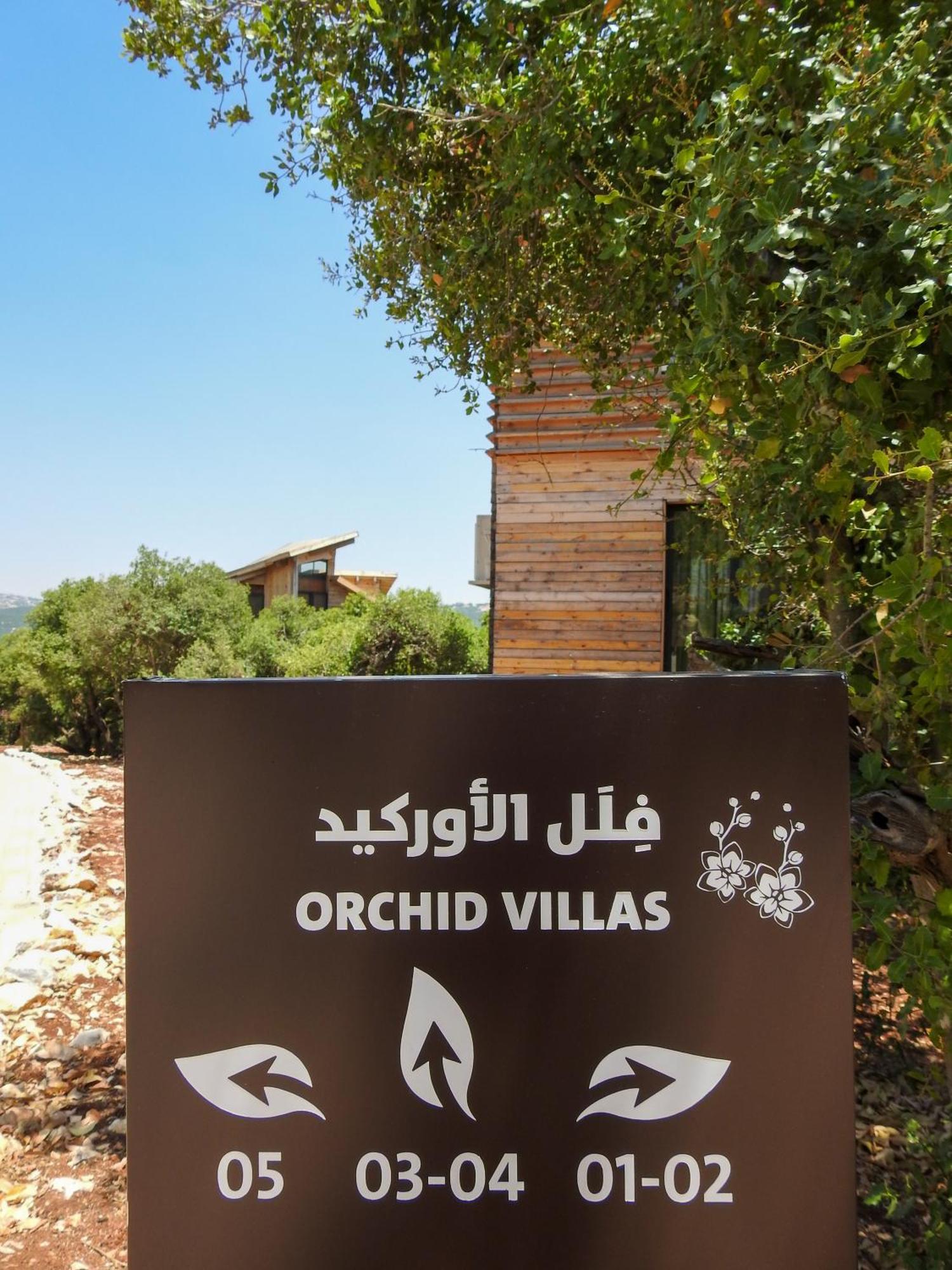 Ajloun Forest Reserve Jarash Exteriör bild