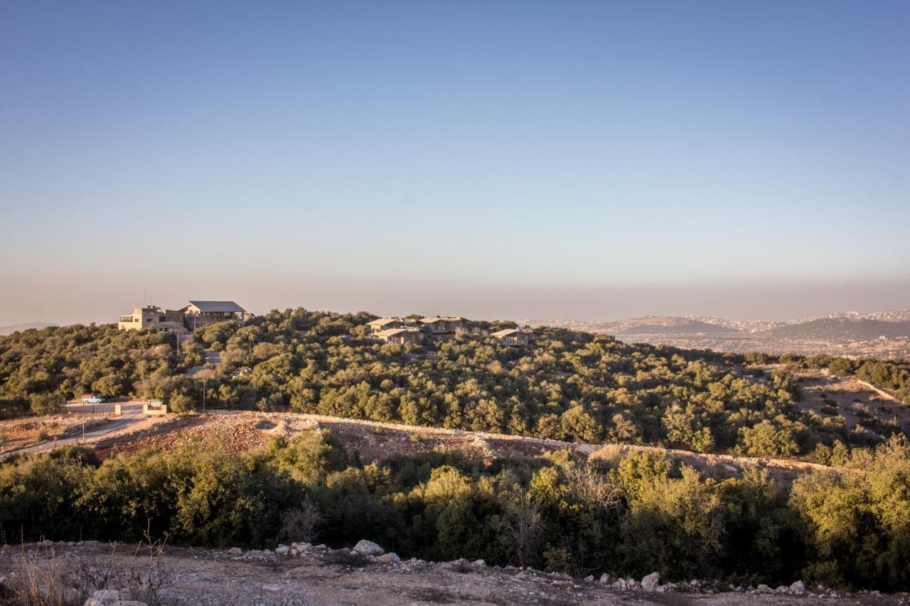 Ajloun Forest Reserve Jarash Exteriör bild