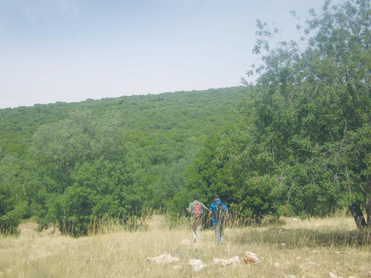 Ajloun Forest Reserve Jarash Exteriör bild