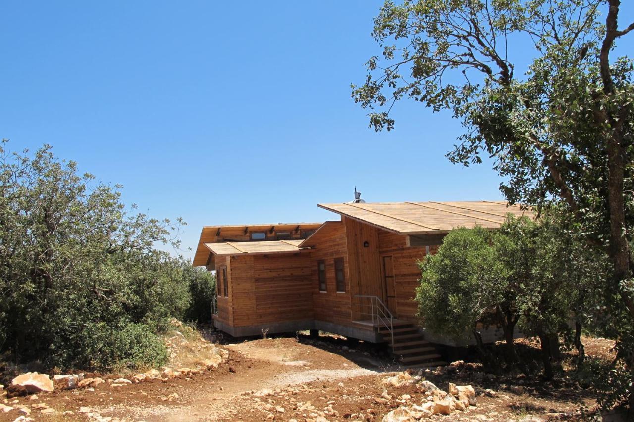 Ajloun Forest Reserve Jarash Exteriör bild