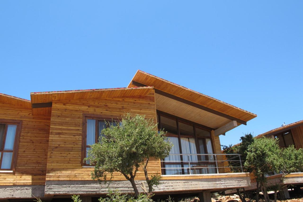 Ajloun Forest Reserve Jarash Exteriör bild