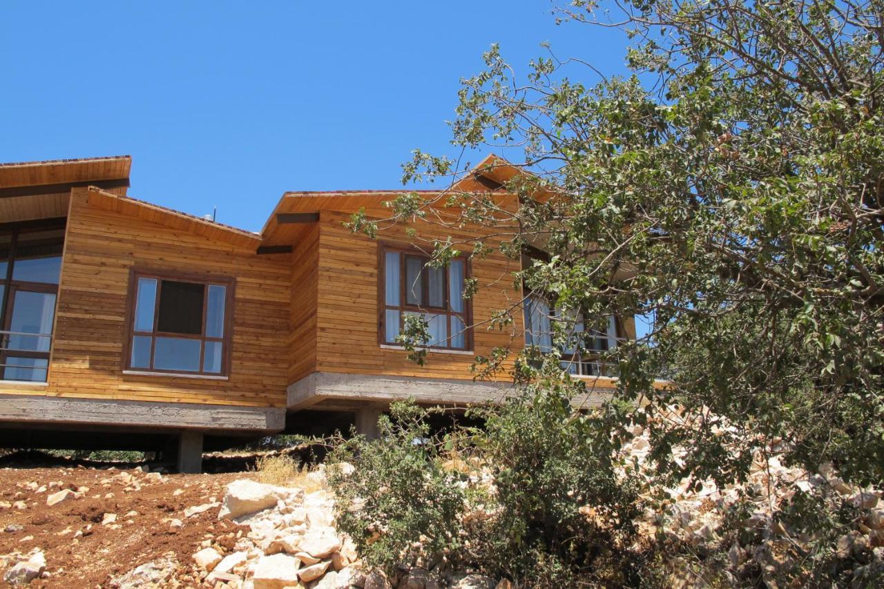Ajloun Forest Reserve Jarash Exteriör bild